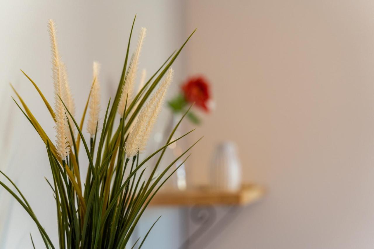 Apartamenty Nad Niwka Bílsko-Bělá Exteriér fotografie